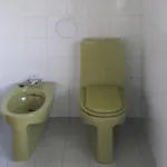 Il Fiore Nel Campo