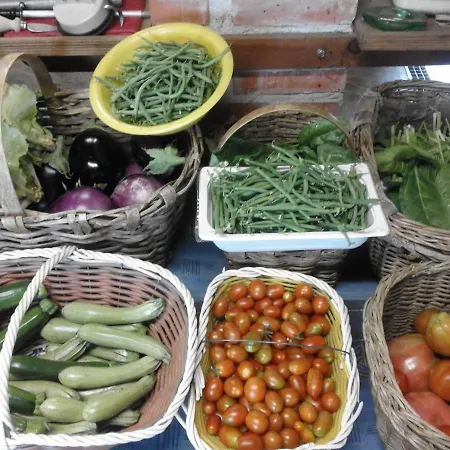 Il Fiore Nel Campo Appartement Caraglio