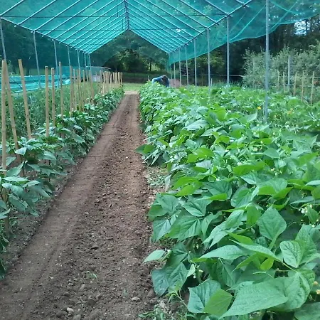 Il Fiore Nel Campo * Caraglio
