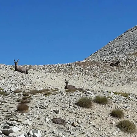 Appartement Il Fiore Nel Campo Caraglio