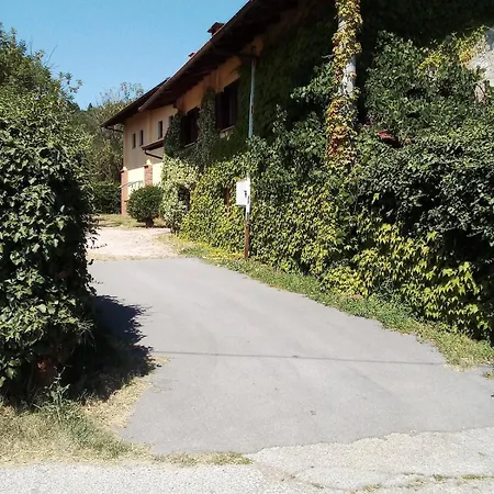 Il Fiore Nel Campo