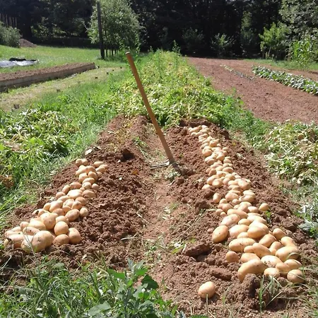 Appartement Il Fiore Nel Campo *