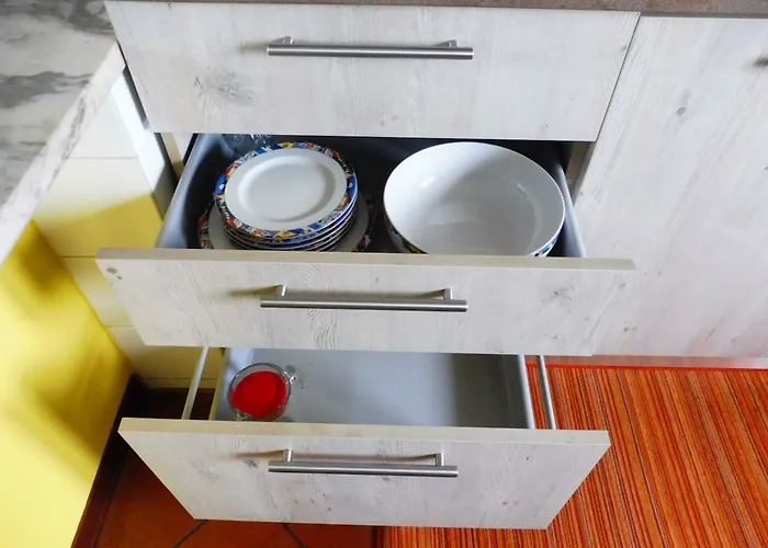 Il Fiore Nel Campo *