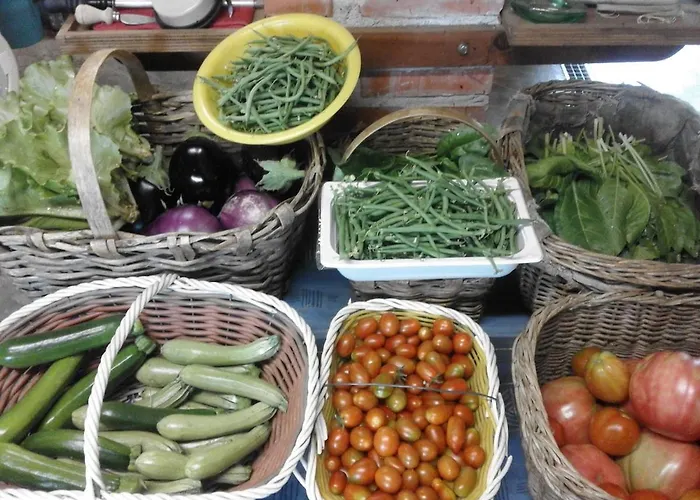 Il Fiore Nel Campo Apartment Caraglio