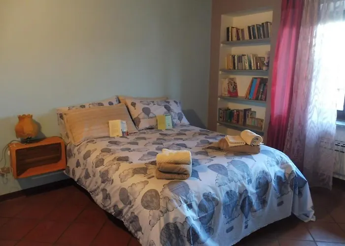 Il Fiore Nel Campo *