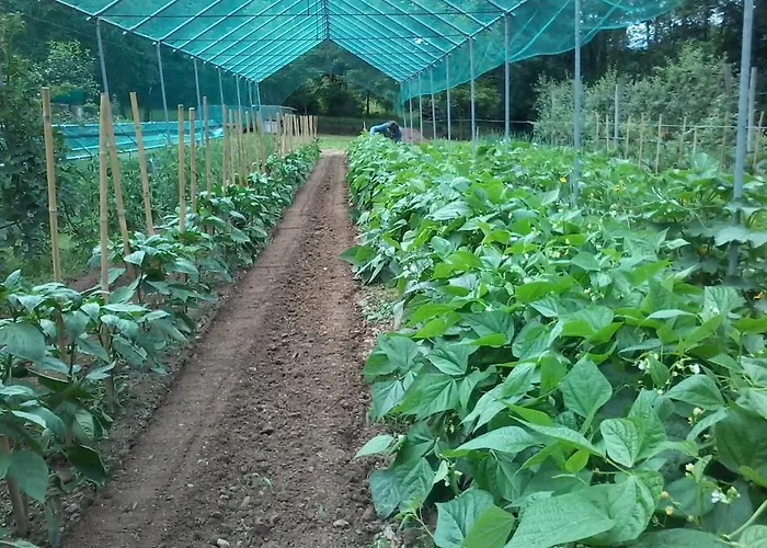 Il Fiore Nel Campo * Caraglio