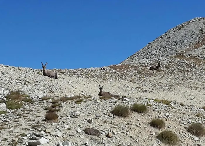Apartment Il Fiore Nel Campo Caraglio