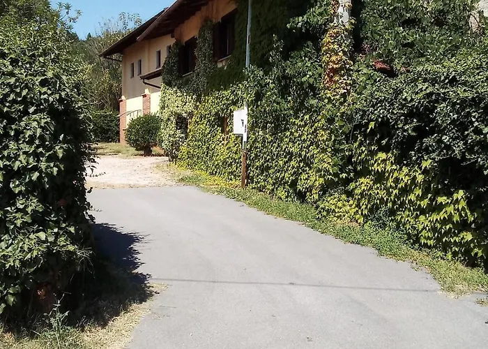Il Fiore Nel Campo