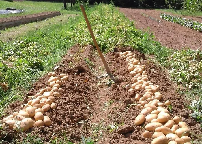 דירה Il Fiore Nel Campo *
